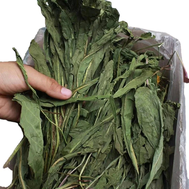 Eco-Friendly Dried Dandelion Grass Chew Toys for Rabbits Chinchillas & Guinea Pigs-500G Individual Box