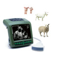 Handheld Cheap Portable Kaixin Veterinary Instrument Ultrasound Sheep Pig Pregnancy Ultrasound Scanner MegaBDM