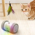 Automatic Rechargeable Cat Toy with Luminous Rolling Wheel Classic Modern Silicone Feather Interactive Pet Training Toy