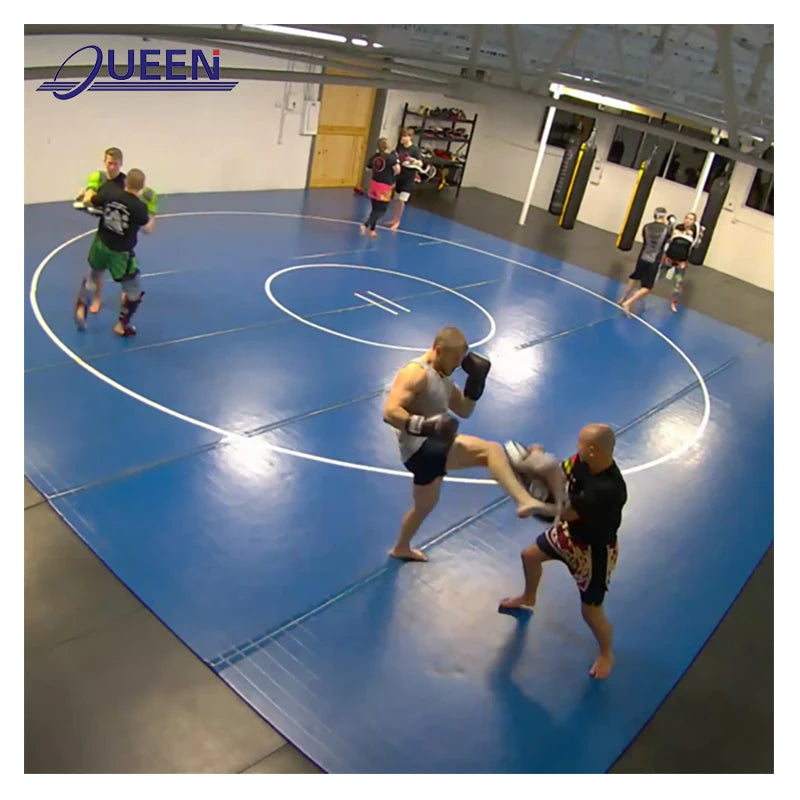 LINYIQUEEN Highly Recommended Foam Gym Mat Wushu Taolu Carpet Tatami JJB Ju Jitsu Mats for Karate Martial Arts Studios Wrestling