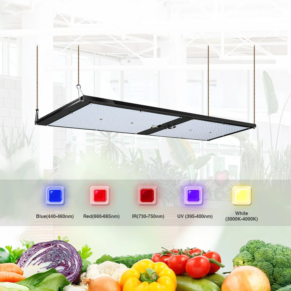 Adjustable Full Spectrum Lamp Lm301h 120w 240w Indoor Plant Led Grow Light for Greenhouse Plants