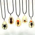 Glow in the Dark Necklace Black Scorpion Amber Insect Necklace Real Insect in Resin Charm Real Scorpion Pendant Necklace for Men