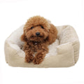 Yangyangpet Sale Low Price Dog Bunk Bed Luxury Dropshipping Collapsible Cooling Solid Mechanical Wash Easy to PRESERVE YYR1114
