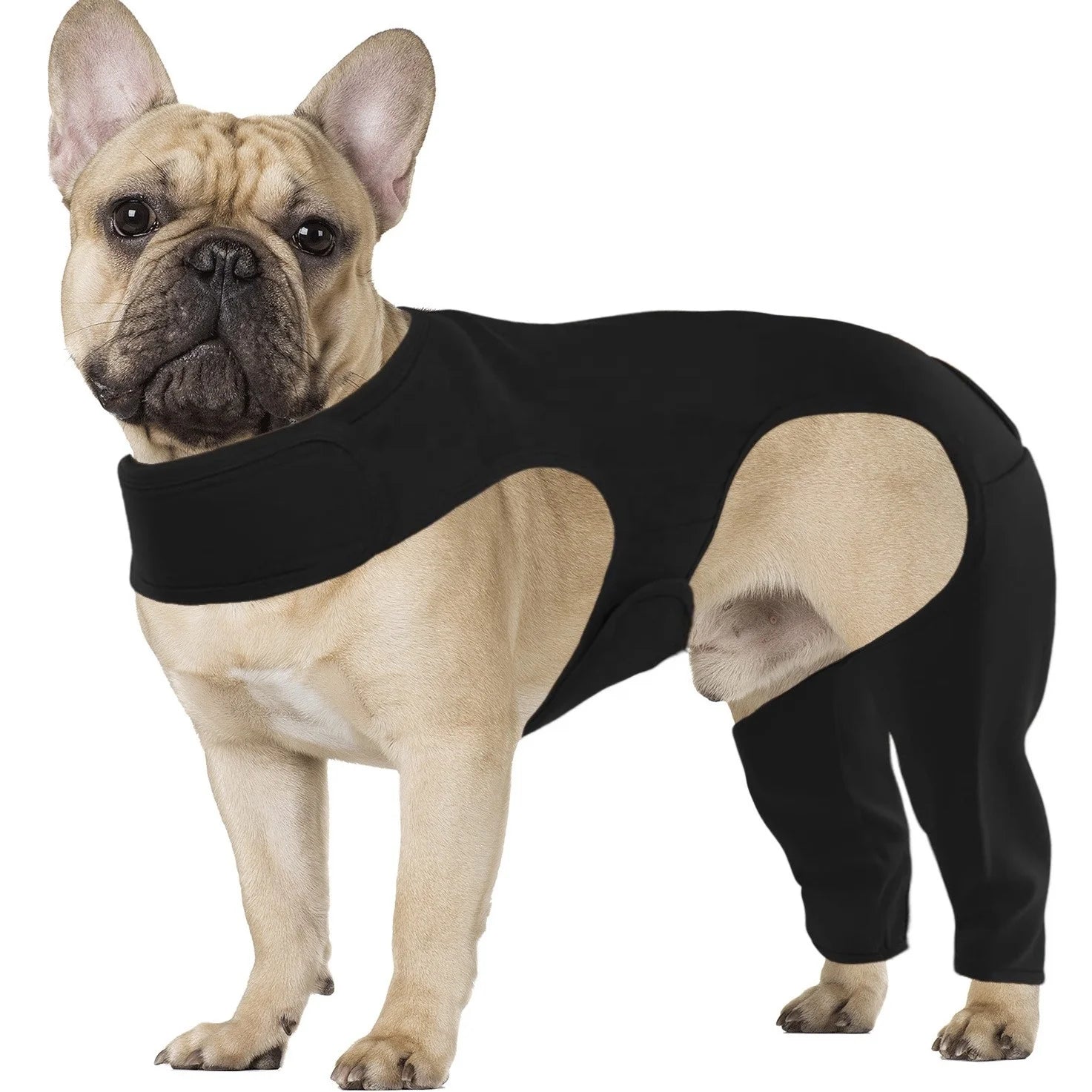 Adjustable Polyester Dog Recovery Suit with Knee Pads Elbow Braces Protector Sleeves for Pets