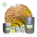 BULK Natural Plant Essential Oils (new) Manufacturer Wholesale Rice Bran Oil 100% Pure for Body Massage | Cheap Price
