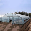 8x30 Metal Frame Commercial Serre Agricole Single Tunnel Agricultural Tomato Greenhouse with PE Film for Farm Use