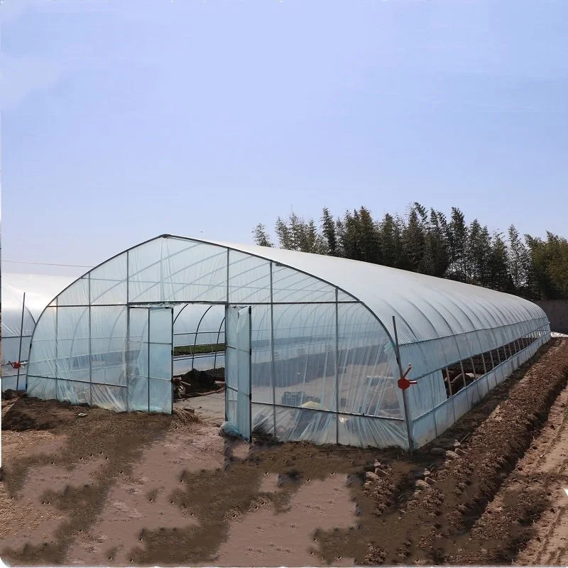 8x30 Metal Frame Commercial Serre Agricole Single Tunnel Agricultural Tomato Greenhouse with PE Film for Farm Use
