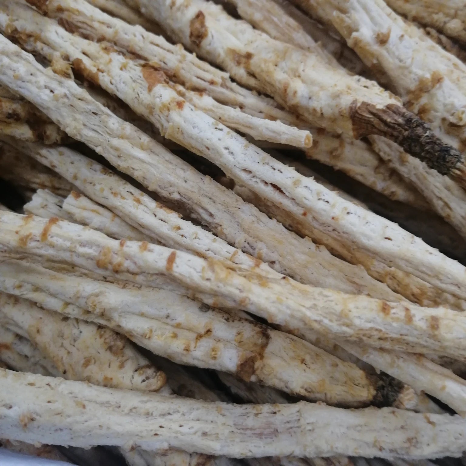 Beisha Shen Raw Coastal Glehnia Roots Dried Chinese Glehnia Littoralis Radix for Herb
