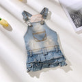 Fashion Dog Dress Denim Small Dog Clothes Winter Denim Overalls for Dogs