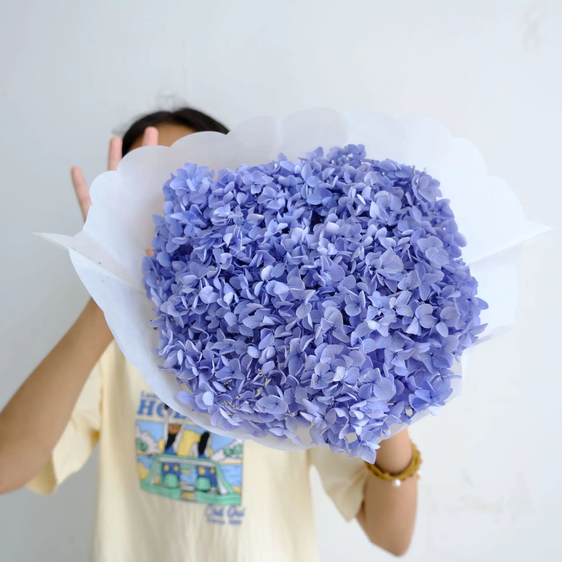 B0380 Wholesale Colorful Preserved Real Natural Flower Hydrangea Real Hydrangea Preserved with Stem Preserved Hydrangea Flowers
