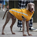 XL~6XL Wholesale Stocked Large Big Winter Warm Chest Pet Winter Vest