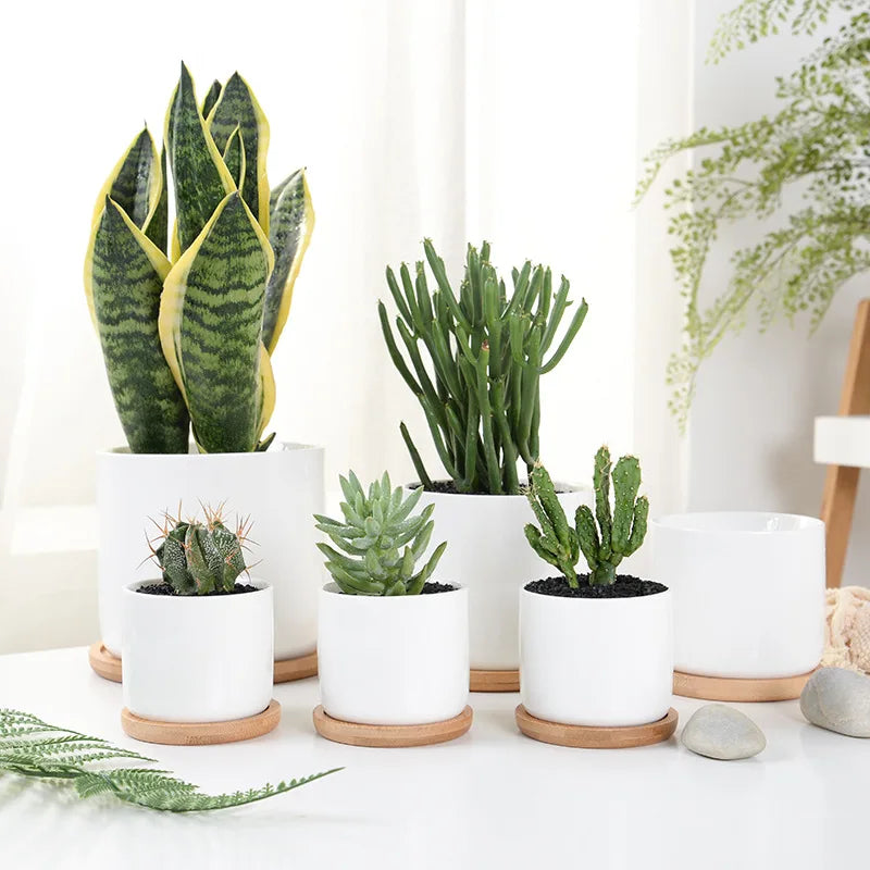 Classic Ceramic Succulent Planter Flower Pot with Drainage Hole for Home & Garden Decor Eco-Friendly Indoor/Outdoor Use