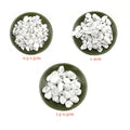 Natural Chips Gravel Stone Howlite Gravel Gemstone for Fish Tank Flowerpot Decor