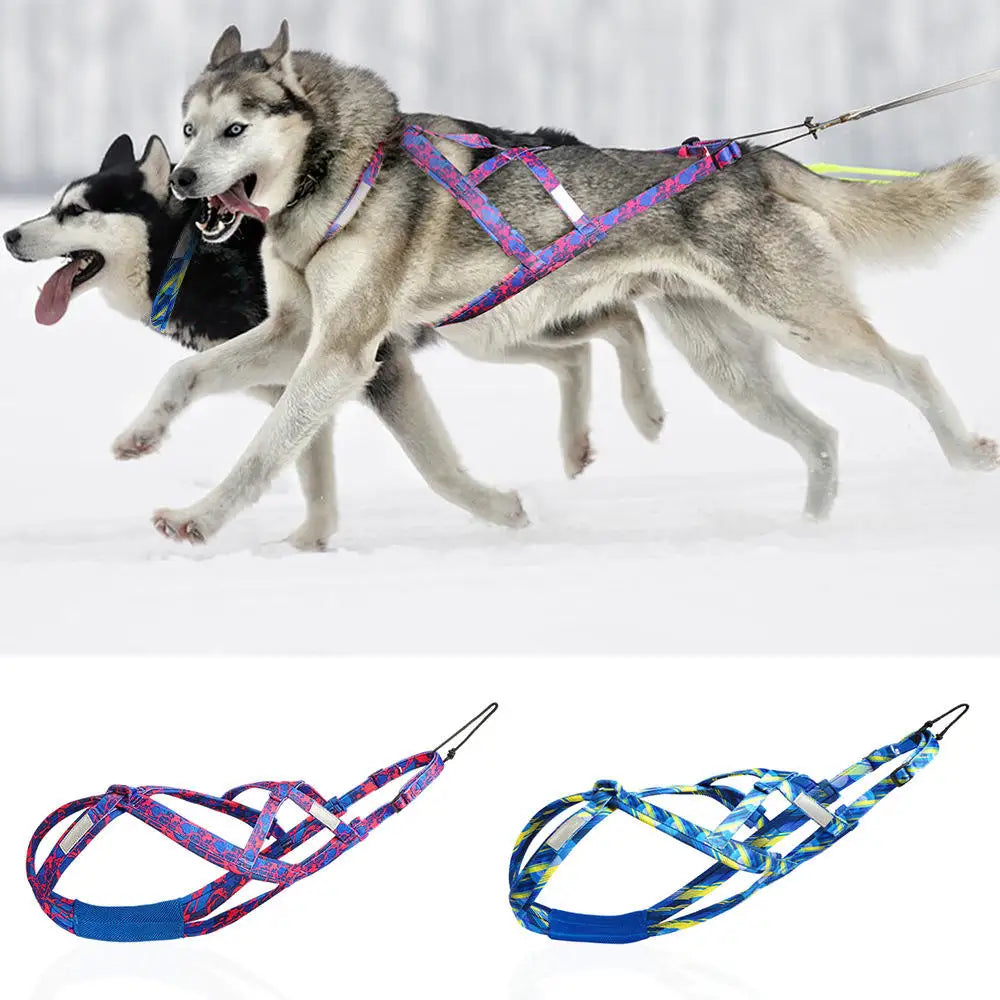 Adjustable Outdoor Neoprene Padded No Pull Large Dog Harness Sled Dog Training Harness for Alaskan Malamute& Siberian Husk