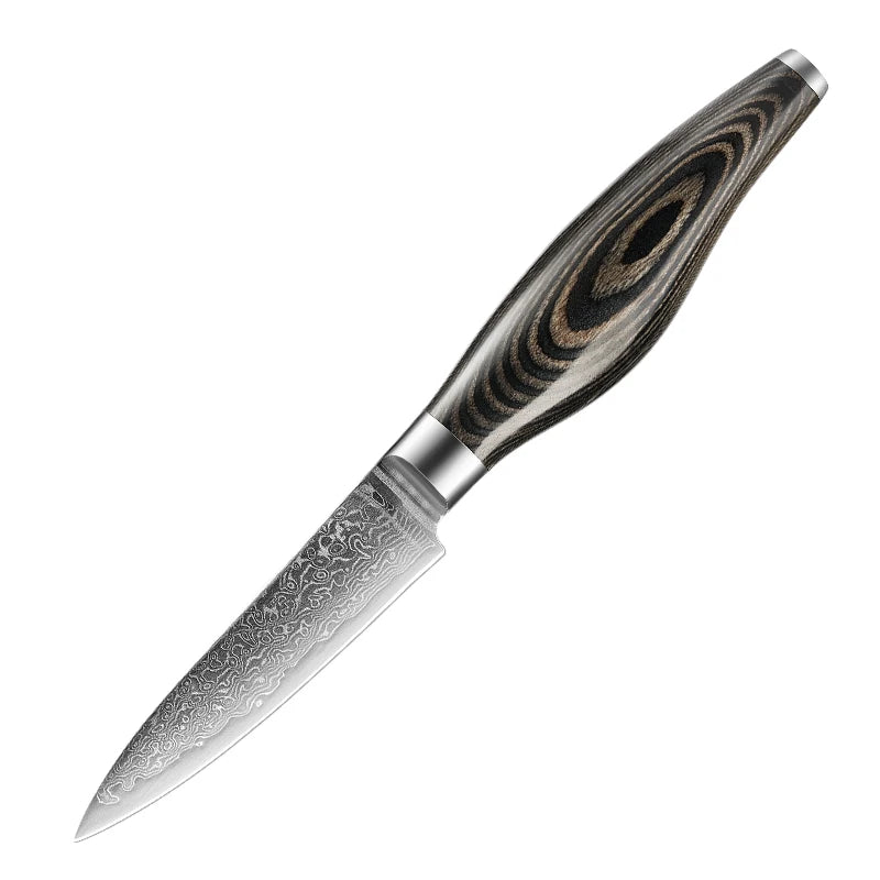 Luxurious 3.5 Inch Damascus Steel Paring Knife with Pakkawood Handle Small Kitchen Fruit Knife