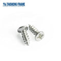 TS-K293 Round Pan Head Screw