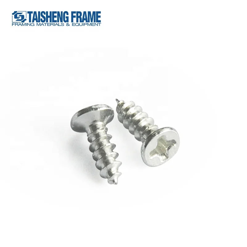 TS-K293 Round Pan Head Screw