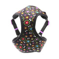 Factory Selling Cheap Supplier High End Personalized Padded Mesh Nylon Pet Dog Harness