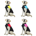Pet Products Wholesale Pet Clothing Cat Dog Vest Thickened Warm Cotton Large Size Dog Clothing Luxury MegaBDM