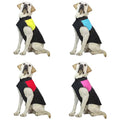 Pet Products Wholesale Pet Clothing Cat Dog Vest Thickened Warm Cotton Large Size Dog Clothing Luxury