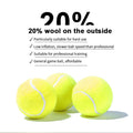 Cheap  Custom logo Printed Promotion Training Tennis Balls