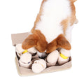 Luxury Eco-Friendly Multi-Function Squeaky Dog Training Toy Cute and Fashionable for Snuffling & Play
