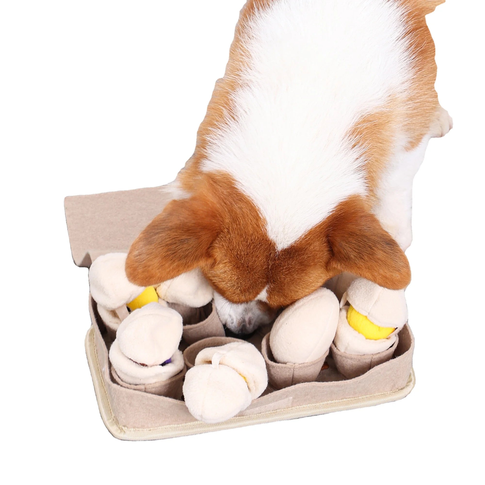 Luxury Eco-Friendly Multi-Function Squeaky Dog Training Toy Cute and Fashionable for Snuffling & Play