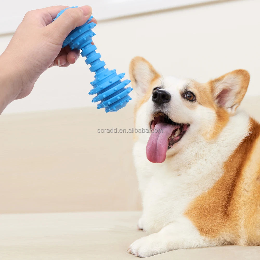 OEM & ODM Natural Rubber Tough Durable Squeaky Interactive Pet Dog Chew Bone Stick Toy for Aggressive Chewers Barbell Toy