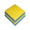 Wholesale Eco-Friendly 20mm EVA Foam Jigsaw Bjj Taekwondo Judo Wushu Floor Mat