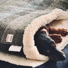 Winner Large Dog Snuggle Sack Custom Puppy Dog Snuggle Sack Bed Mat Tweed Snuggle Sack for Dogs Cats