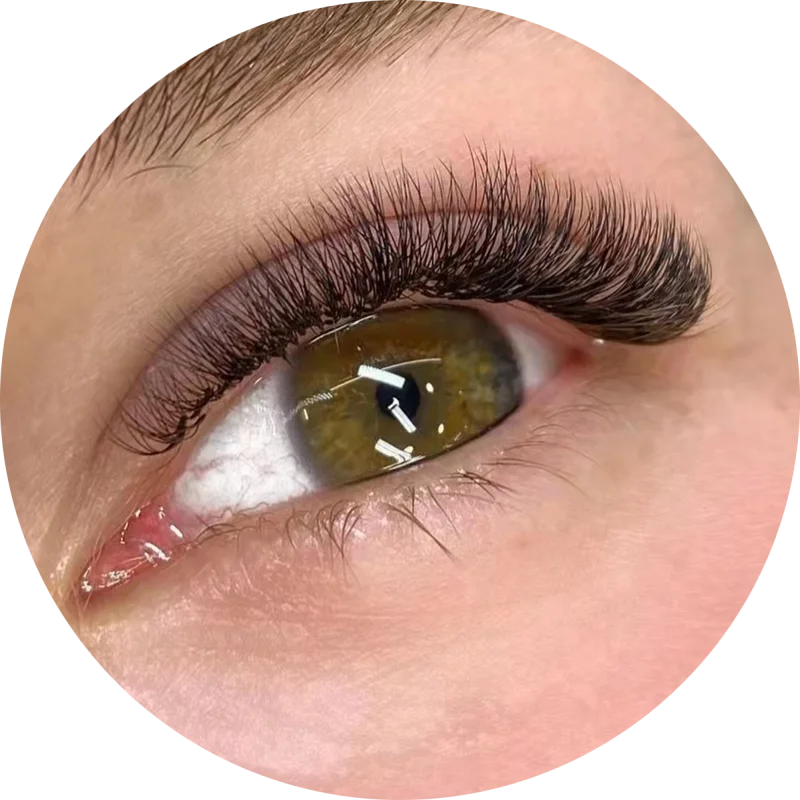 Pre Made Eyelash Extension 4d 6d Premade Fans Glue Free Volume Lashes False Eyelashes