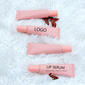 Professional Vegan Moisturizing Lip Care Makeup Cosmetics Private Label Lip Balm with Luxury Natural Style OEM Brand Lip Serum