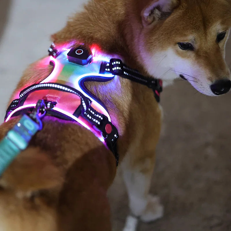 Custom Oxford Outdoors Night Walking Large Dog Vest Reflective RGB Rechargeable LED Light Pet Dog Harness