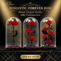 Customized Valentine's Day & Graduation Romantic Gift Handmade Preserved Rose in Glass Dome 3 Big Prince Eternal Flower Bouquet