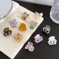 Dowell Korean Style Garra De Cabelo Small Size Acetate Hair Claw Clip FRANCE Gold Label Back Head