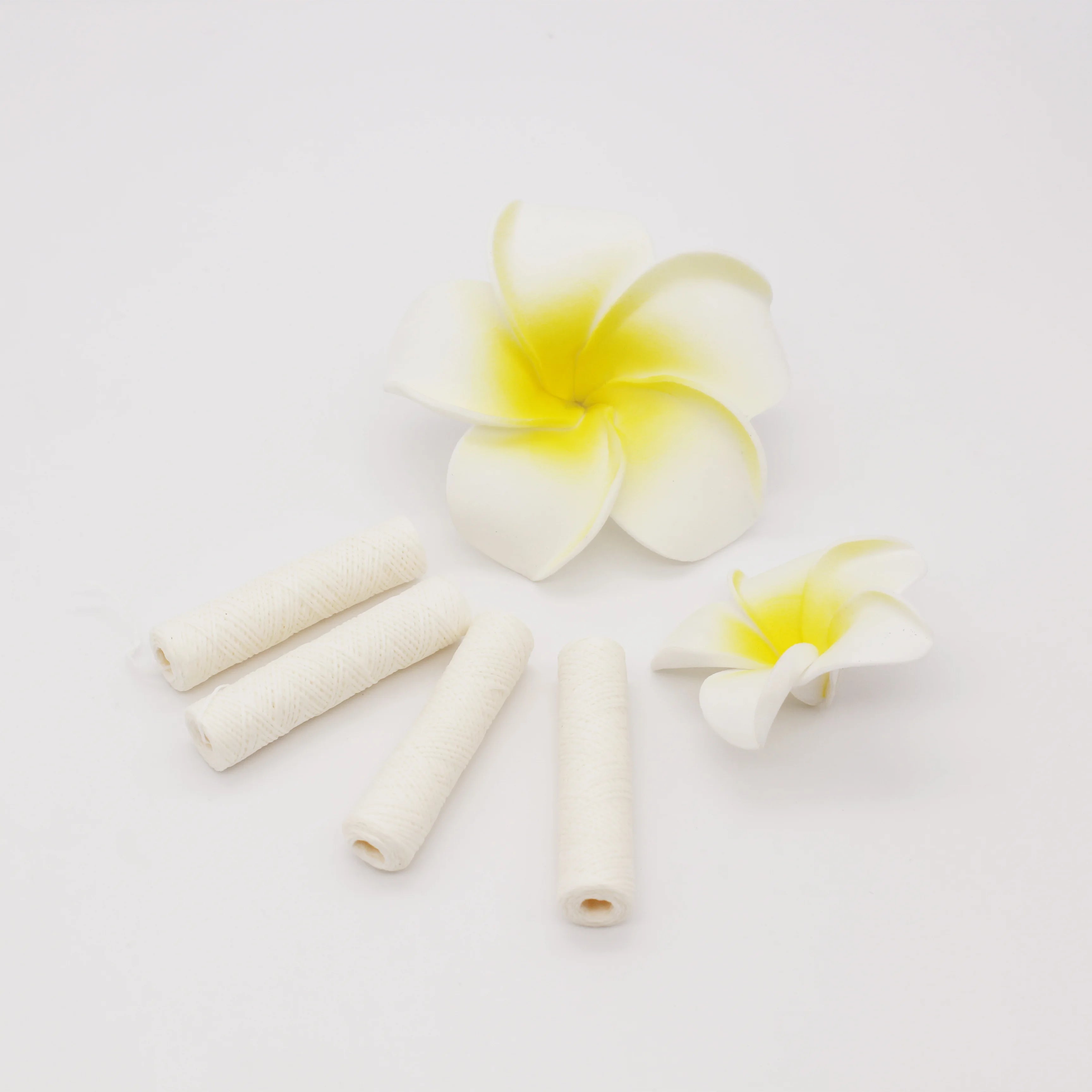 Biodegradable BPA Free Floss Picks Eco Friendly Natural Teeth Cleaning Floss Vegan Bamboo Charcoal Silk Mint Flavor 30m Dental