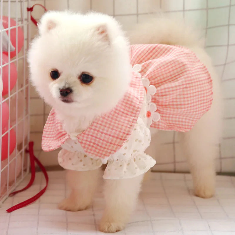 Wholesale Stocked Cotton Soft Elegant Cheap Pet Dog Dress Patterns