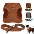 Custom Winter Dog Harness and Leash Set Warm Fur Padded Pet Vest Harness With Dog Walking Lead Rope Chihuahua Small Medium Dogs