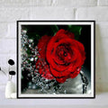 DIY Full 5D Diamond Painting Red Rose Adult Canvas Painting Home Decoration Flowers Landscape Crafts Handpainted Gift