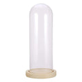 Glass Dome Cloche Cover Dry Flower Display Case Bell Jar Terrarium Jewelry Holder Vase Wedding Home Decor with Wood Base