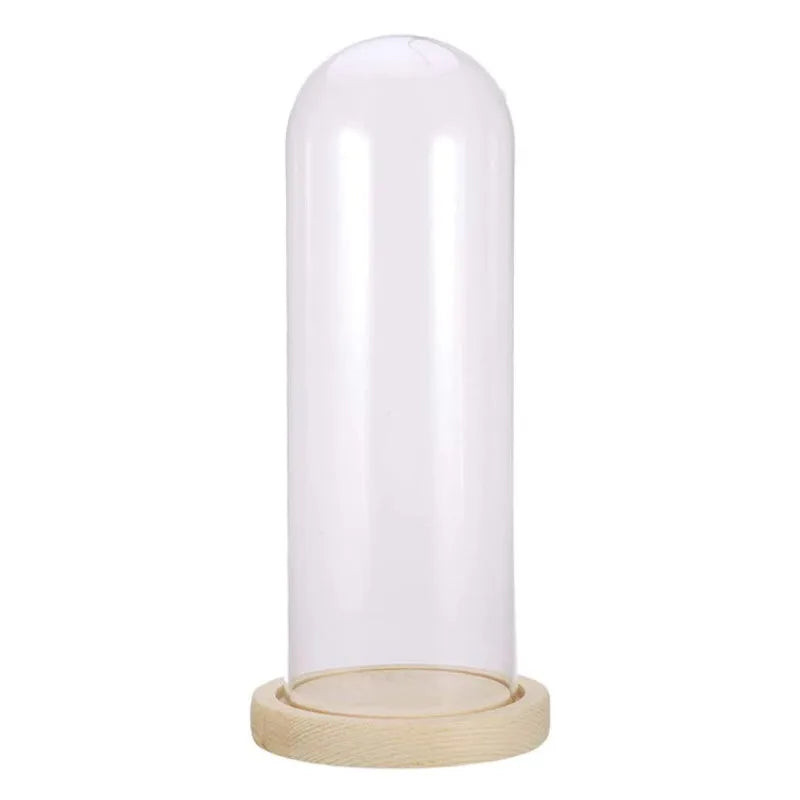 Glass Dome Cloche Cover Dry Flower Display Case Bell Jar Terrarium Jewelry Holder Vase Wedding Home Decor with Wood Base