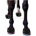 Built-In Battery 660nm 850nm Red Light Therapy for Horse Tendon Riding Boots Horse Care Product for Pain Relief