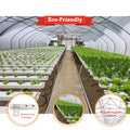 Baolida Hot Sale Poly Tunnel Strawberry Greenhouse Agricultural Single-span Greenhouse for Strawberry Growing