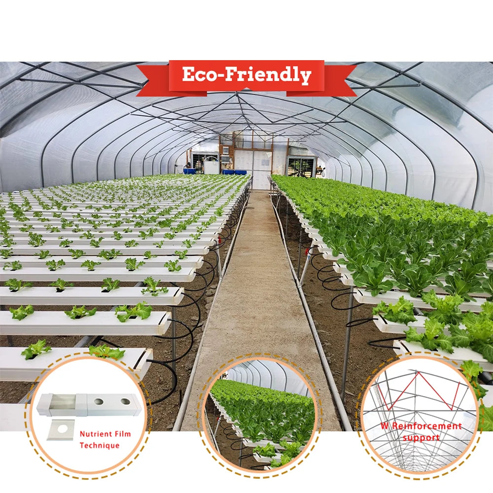 Baolida Hot Sale Poly Tunnel Strawberry Greenhouse Agricultural Single-span Greenhouse for Strawberry Growing