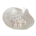 2024 3A Grade Natural Freshwater Loose Pearl Beads 9-12mm Zhuji Factory Low Price Button Pearls for Jewelry
