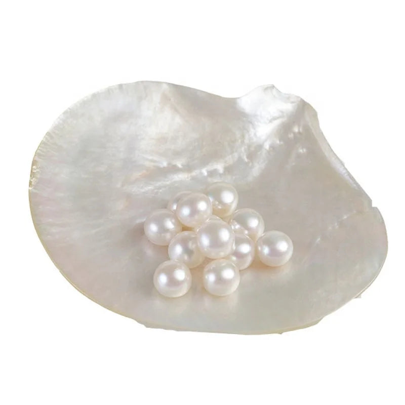 2024 3A Grade Natural Freshwater Loose Pearl Beads 9-12mm Zhuji Factory Low Price Button Pearls for Jewelry