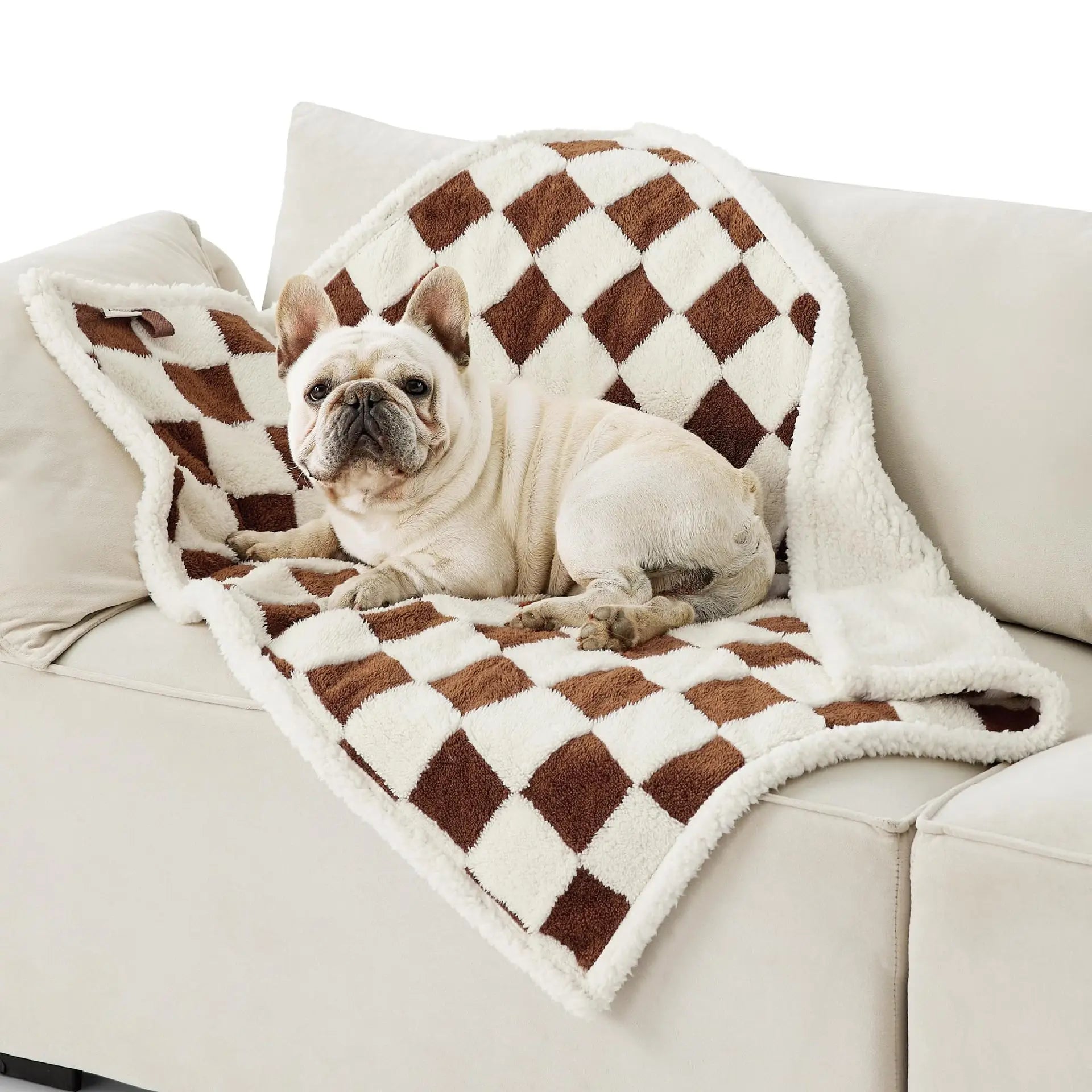 Custom Size and Color Print Pet Blanket Warm Removable and Washable for Dogs and Cats
