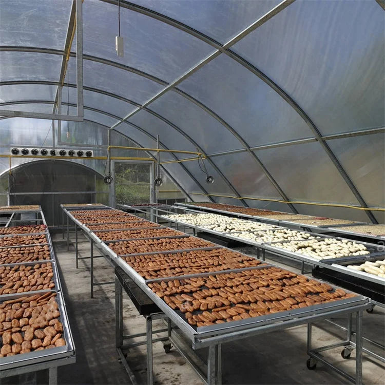 In Stock Large Single-Span Polycarbonate & PE Film Greenhouse 8*20 Meters Single Layer Food Drying Chilli Dry