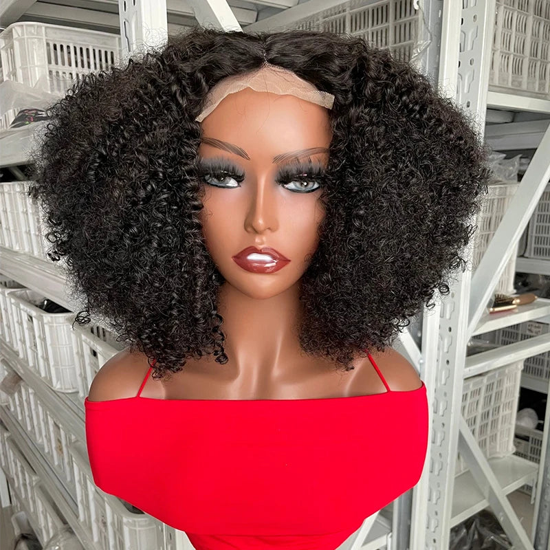 250 Density 14 Inch Afro Curly Hair Wig T Closure Cuticle Aligned Natural Brazilian Human Hair Lace Front Wigs for Black Women