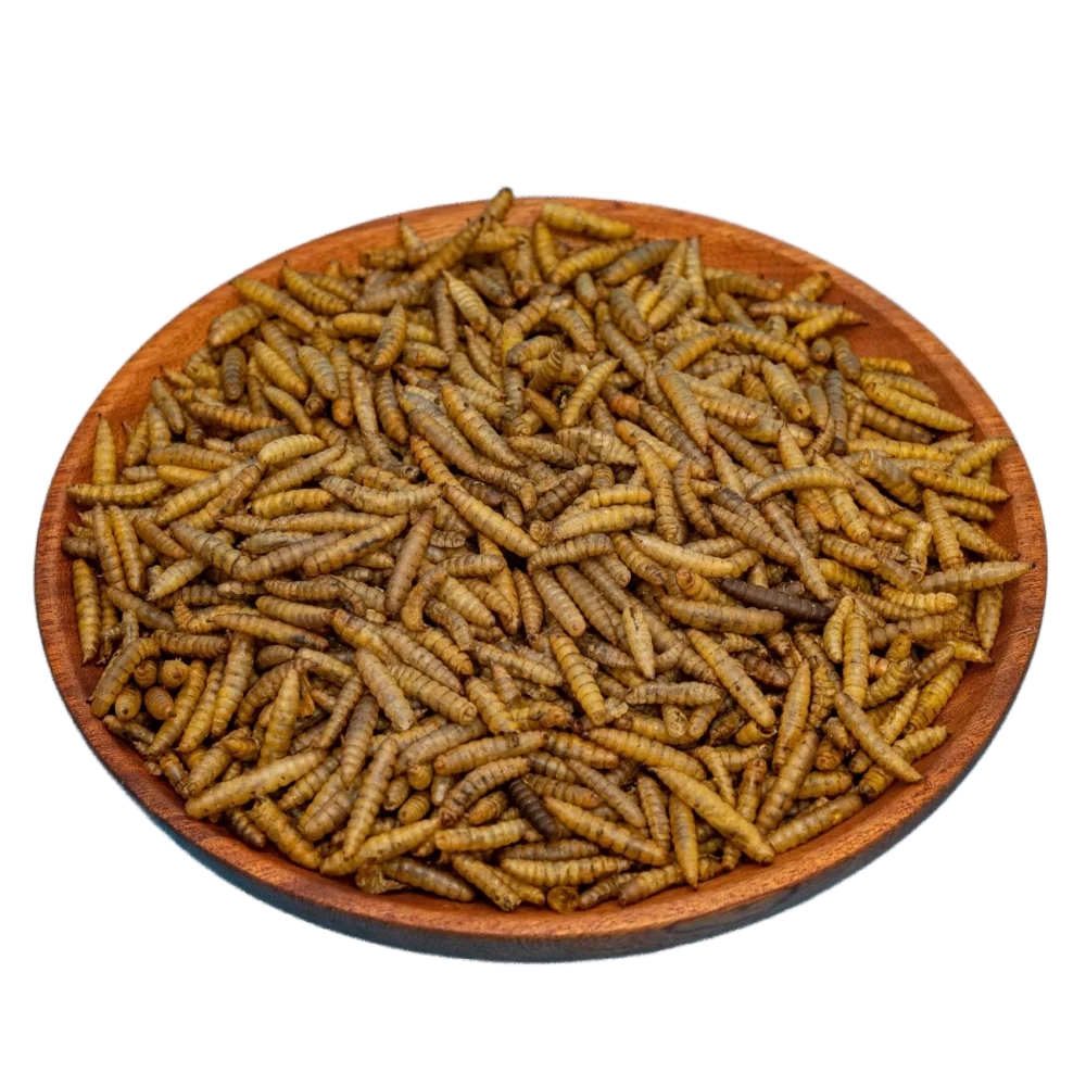 Low-ash Dried Black Soldier Fly Larvae Fed with Pure Plant-based Distillers' Grains